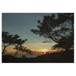 Torrey Pine Sunset III California Landscape Wood Poster