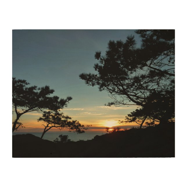 Torrey Pine Sunset III California Landscape Wood Wall Decor (Front)