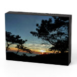 Torrey Pine Sunset III California Landscape Wooden Box Sign