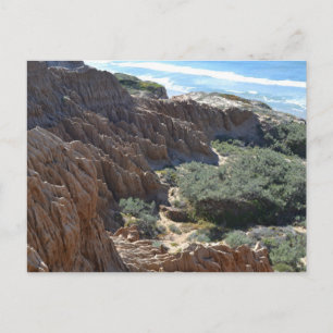 Torrey Pines Cliffs 1 Postcard