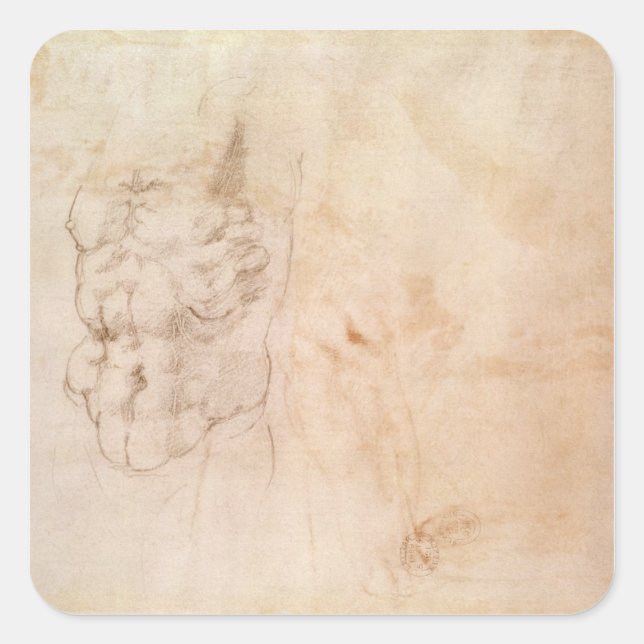 Torso Study Square Sticker (Front)