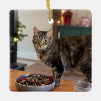 Torti Kitty Christmas ornament