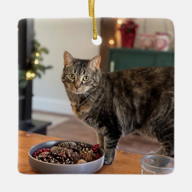Torti Kitty Christmas ornament (Front)