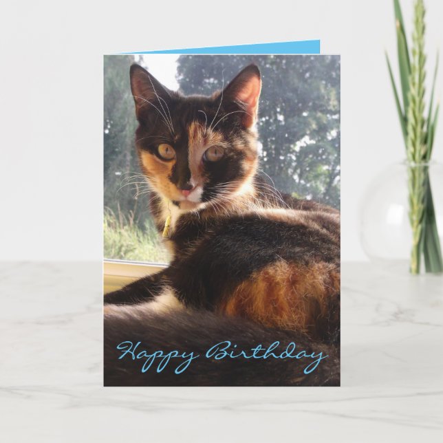 tortie birthday card (Front)
