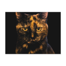 Tortie Cat Love Design #2