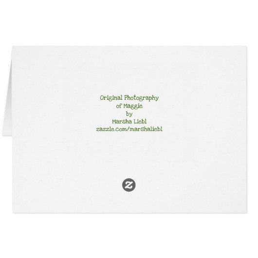 Tortie Cat on Garden Bench - Sympathy (Back Horizontal)