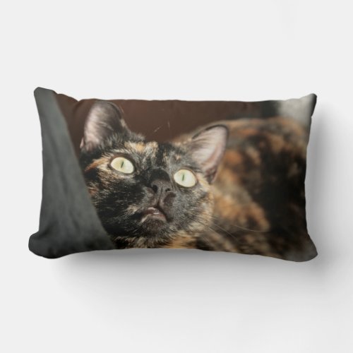 tortie cat pillow