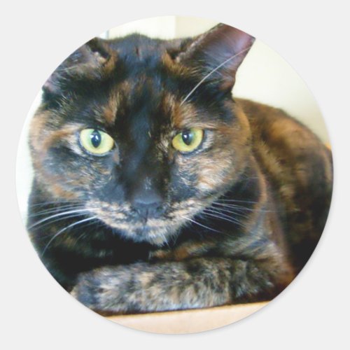 tortie cat stickers