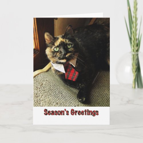 Tortie Seasons Greeting Card Starring Binga Holiday Card