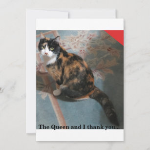 Tortie Tuesday Thank You Card