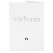 Tortitude Card (Back)