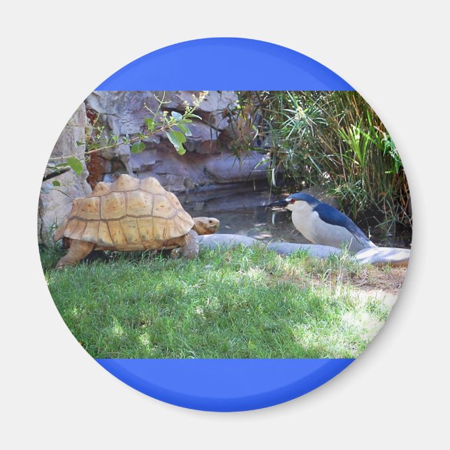 Tortoise and Blue Jay Friends Magnet (Front)