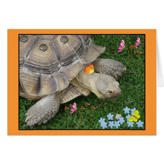 tortoise and flowers cards (Front Horizontal)