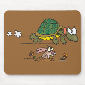 a tortoise and a mouse Are you interested in tortoises keeping tortoises and using an electronic pest repeller the house's cat would find and kill about one mouse a week. a tortoise and a mouse Are you interested in tortoises keeping tortoises and using an electronic pest repeller the house's cat would find and kill about one mouse a week.