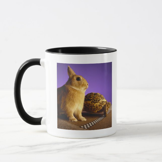 Tortoise and the hare mug (Left)