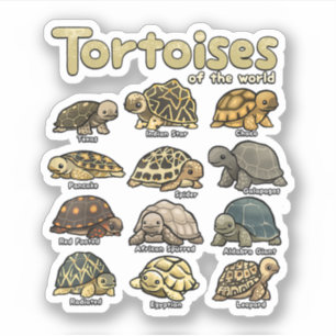 Tortoise Animals of the World Cute Reptile Turtle Sticker