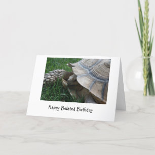 Tortoise Belated Birthday Card
