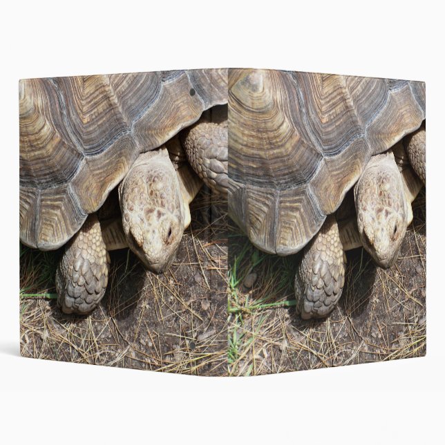 Tortoise Binder (Background)