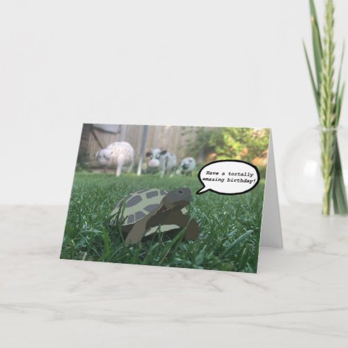 Tortoise birthday card