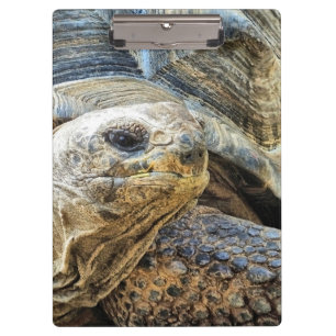 TORTOISE CLIPBOARD