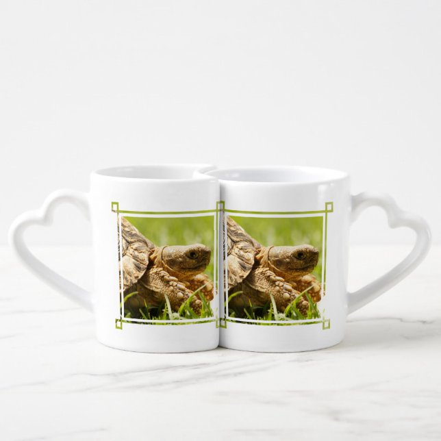 Tortoise Coffee Mug Set (Back Nesting)