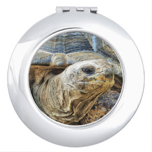 TORTOISE COMPACT MIRROR