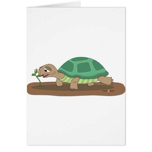Tortoise eating cards (Front)
