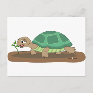 Tortoise eating postcard