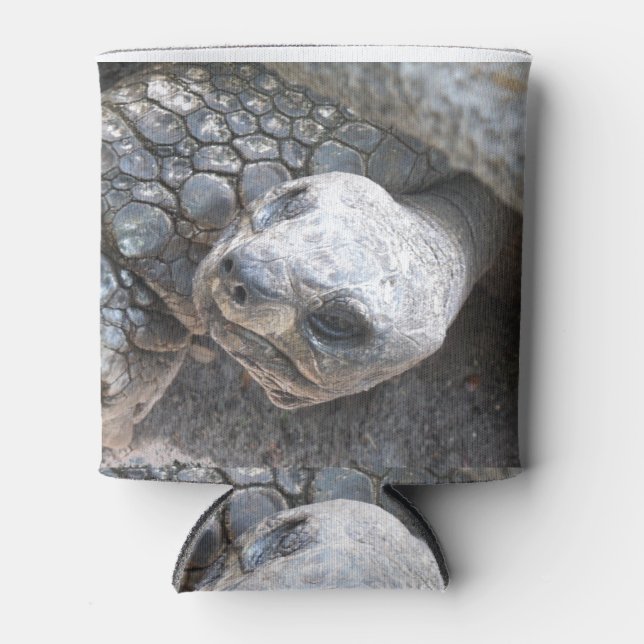 Tortoise Face Can Cooler (Front)