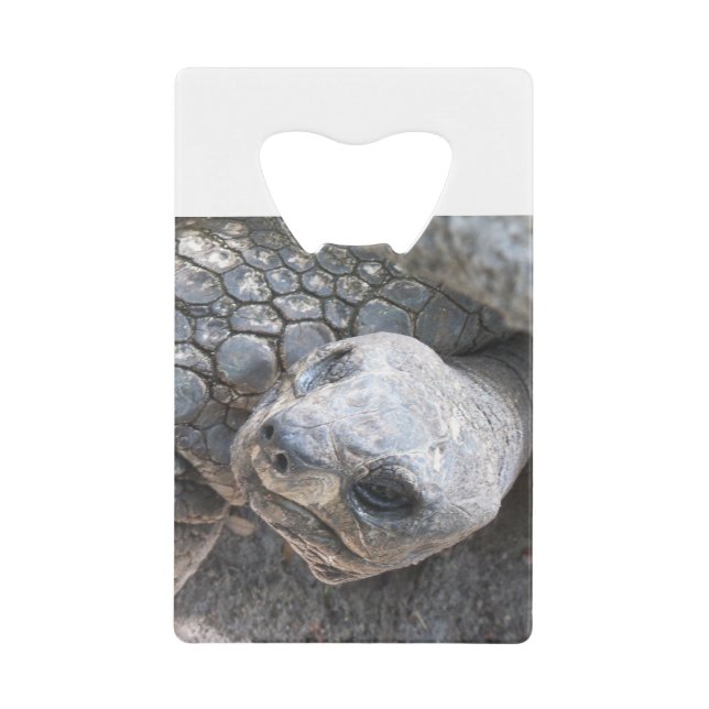 Tortoise Face Credit Card Bottle Opener (Front)