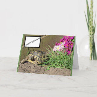 Tortoise Happy Birthday Card