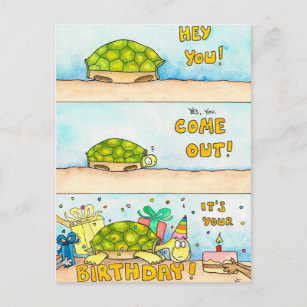 Tortoise Birthday Cards Zazzle
