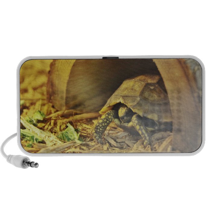 Tortoise hiding in shell 2 speaker