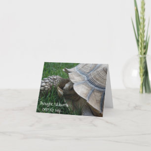 Tortoise Hurry Birthday Card