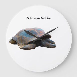Tortoise image for Round-Wall-Clock Large Clock