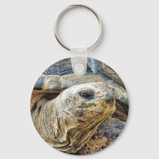 TORTOISE KEYCHAIN (Front)