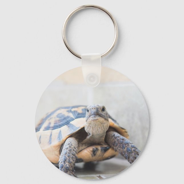 Tortoise Keychain (Front)