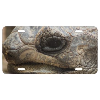Tortoise License Plate by CustomizeYourWorld at Zazzle