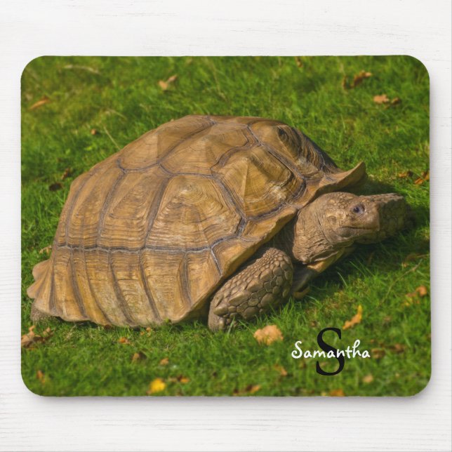 Tortoise Mouse mat (Front)
