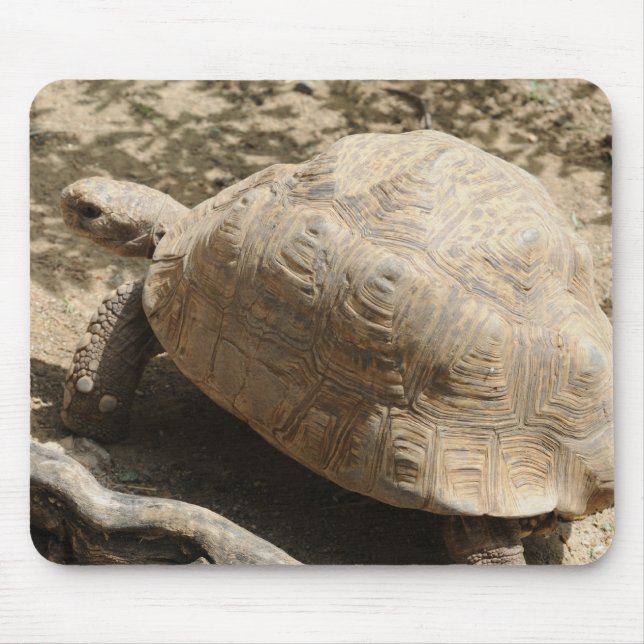 Tortoise Mouse Pad (Front)