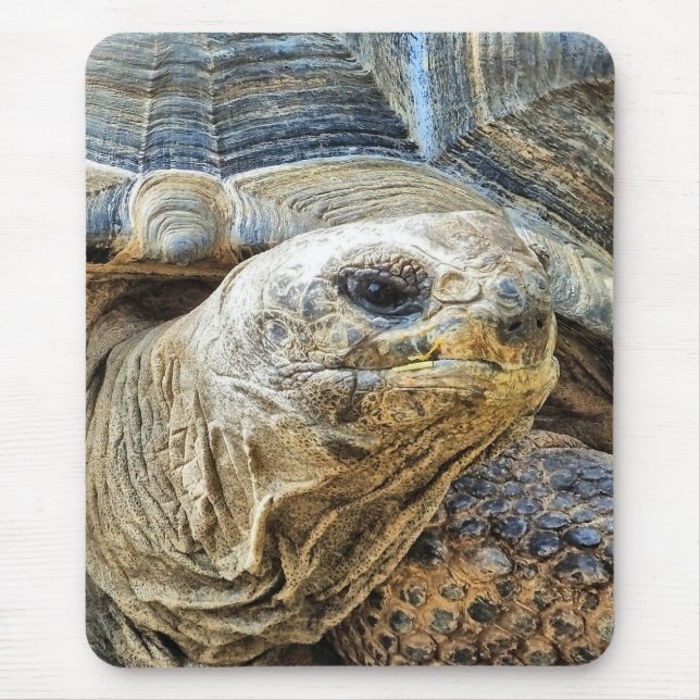TORTOISE MOUSE PAD (Front)
