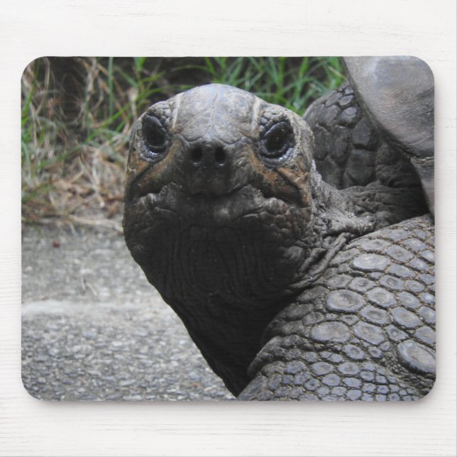 Tortoise Mousepad (Front)