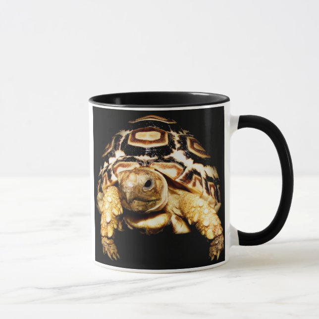 tortoise mug (Right)