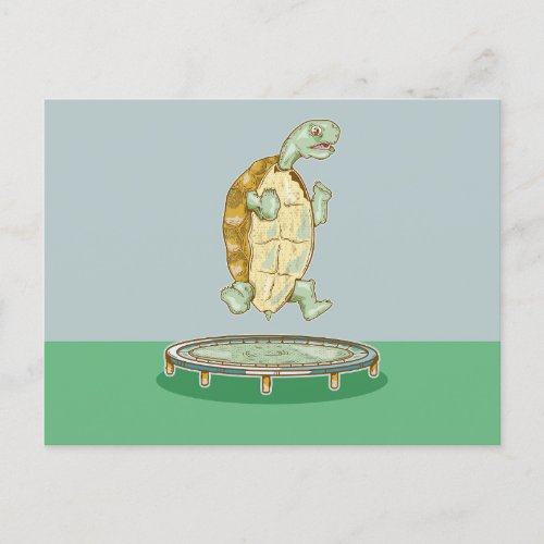 Tortoise on a trampoline postcard