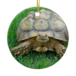 Tortoise Ornaments