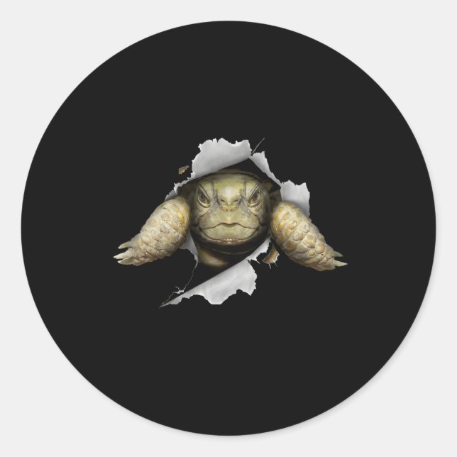 Tortoise Owner Turtle Tortoise Love Tortoise Classic Round Sticker (Front)