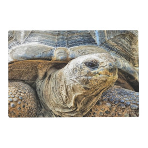 TORTOISE PLACEMAT