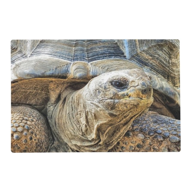TORTOISE PLACEMAT (Front)