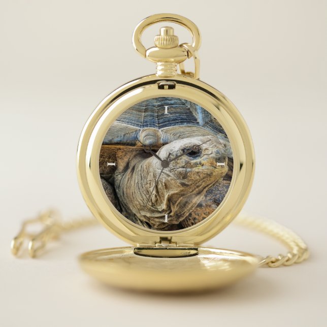 TORTOISE POCKET WATCH (Inside)