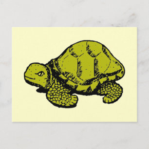 Tortoise Postcard